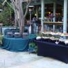 Catered Buffets